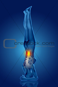 3D female medical figure in yoga position with spine highlighted