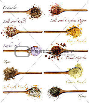 Collection of Spices with Inscription