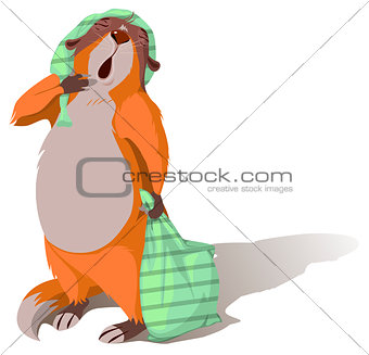 Groundhog Day. Sleeping marmot yawning and holding pillow