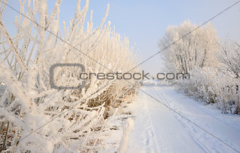rural road covered with snow