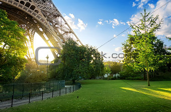 Meadow near Eiffel Tower