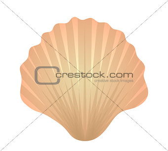 Shell icon logo element. Flat style, isolated on white background. Vector illustration, clip art.