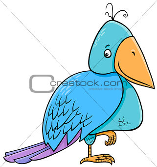 bird cartoon illustration
