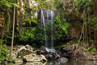 Curtis Falls Waterfall in Mount Tambourine