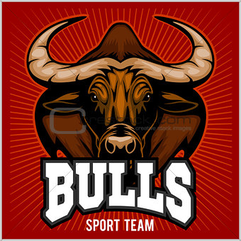 Bulls Mascot Illustration