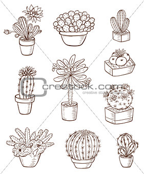 Set of various houseplants