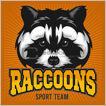Raccoon head - sport emblem vector illustration