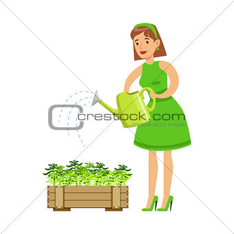 Woman Watering Sprouts In Crate , Contributing Into Environment Preservation By Using Eco-Friendly Ways Illustration