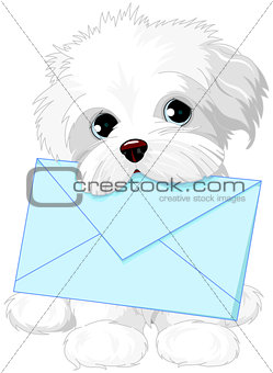 Cute Dog Delivering Mail Envelope