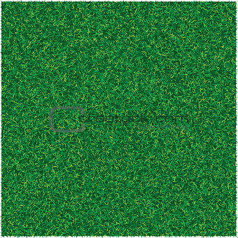 Vector abstract texture with green lawn grass for design background