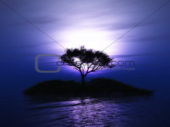 3D tree on an island against a sunset sky