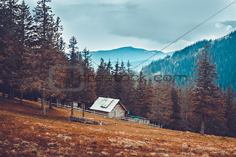 Old rural house in the Carpathian mountains