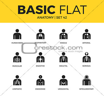 Basic set of anatomy icons