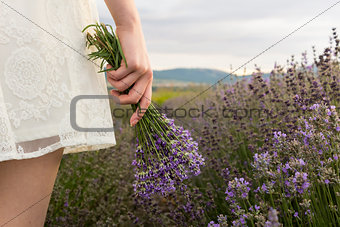 On lavender field girl in dress holding bouquet