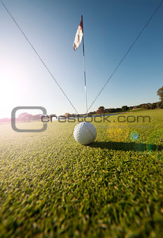 Low angle shot of golf ball on green