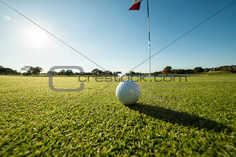 Golf ball on green low angle