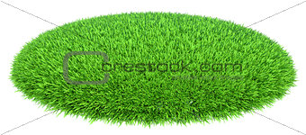 Grass arena isolated on white background