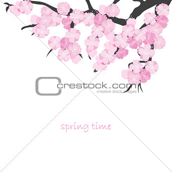 Spring card with cherry branch