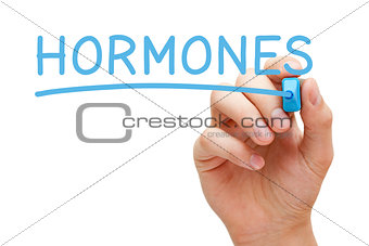 Hormones Handwritten With Blue Marker