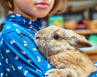 Schoolgirl holding a nice rabbit on shoulder