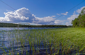 Pista River on a sunny summer day. Karelia.