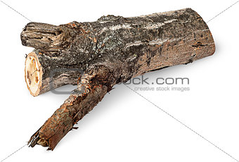 Single poplar log horizontally