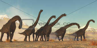 Brachiosaurus Dinosaur Herd
