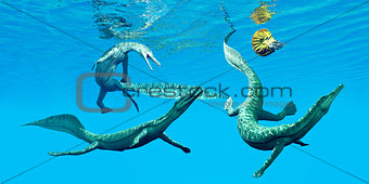 Mesosaurus Marine Reptiles