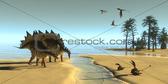 Stegosaurus Dinosaur Morning