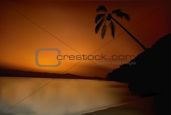 Sunset And Palm Tree On Beach