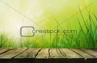 Wooden table with spring background