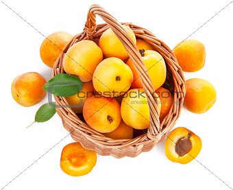 Fresh apricots with green leaf in wicker