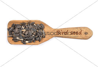 Bird seed on shovel