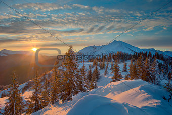 winter forest and mountains Carpathians