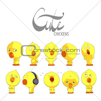 Cute yellow chickens 