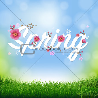 Nature Background With Grass Border And Text Spring