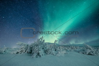 Aurora borealis in Iceland