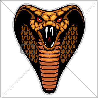 Snake head on white - vector illustration
