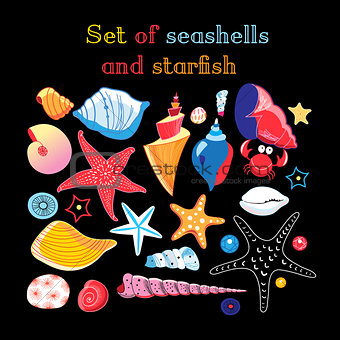 Vector set of sea shells and starfis