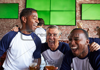 Male Friends Watching Game In Sports Bar Celebrating