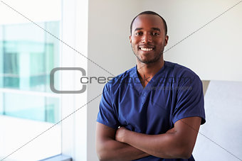 Portrait Of Male Nurse Wearing Scrubs In Exam Room