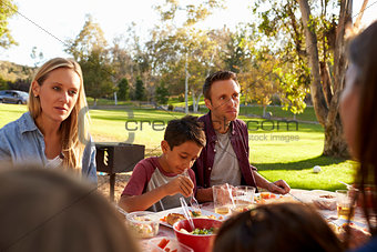 Two families having a picnic in a park, over shoulder view