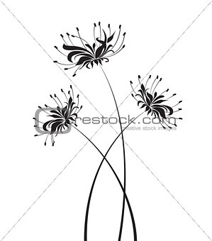 Vector Flower higanbana