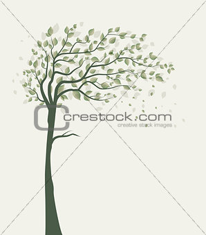 Tree with leaves