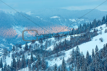 Evening winter Ukrainian Carpathian Mountains landscape.