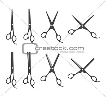 Professional barber scissors