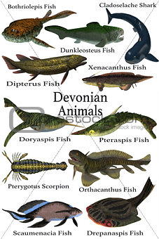 Devonian Animals
