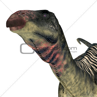 Lurdusaurus Dinosaur Head