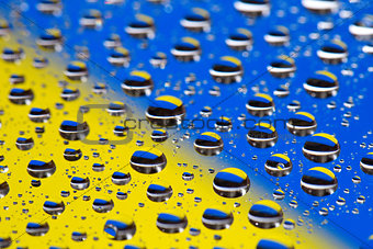 the Abstract blue-yellow background of water drops on glass with reflectio, macro, concept flag color Ukraine in photo Maidan revolution