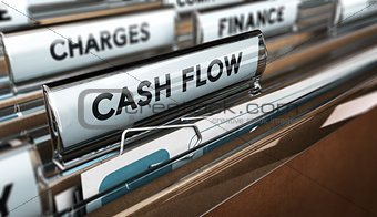 Company Cash Flow Statements